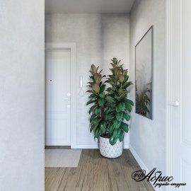 Портфолио